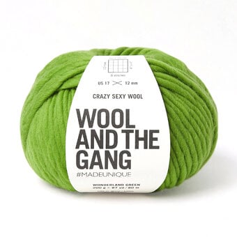 Wool and the Gang Wonderland Green Crazy Sexy Wool 200g 