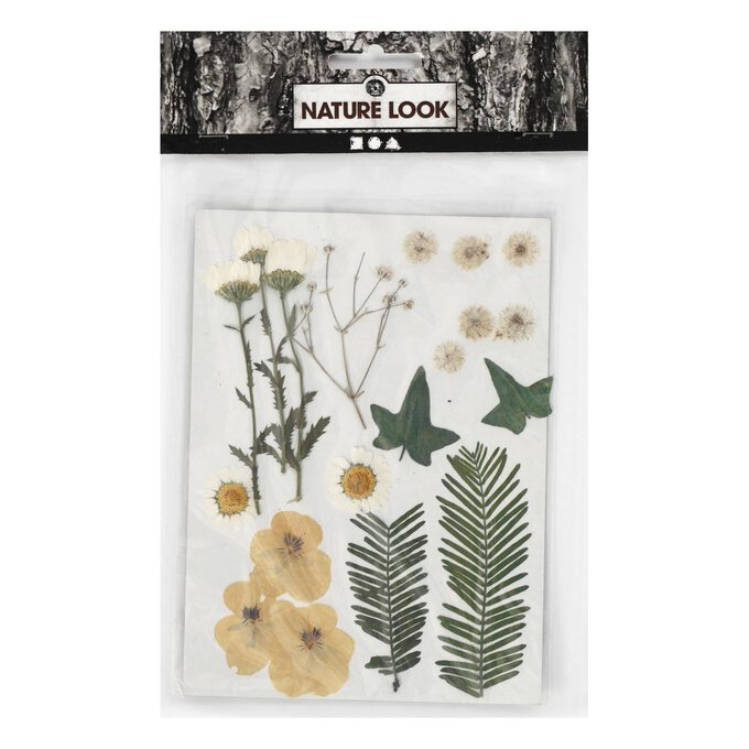 Off White Pressed Flowers with Leaves 19 Pieces