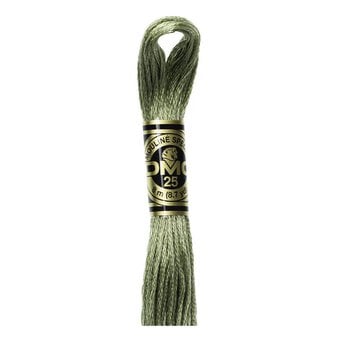 DMC Green Mouline Special 25 Cotton Thread 8m (3052)