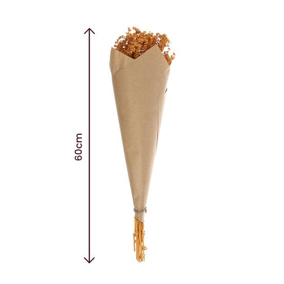 Yellow Stag Grass Bunch 60cm image number 4