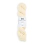 Bramble & Fleece Airedale Sheepsoft Aran 100g image number 1
