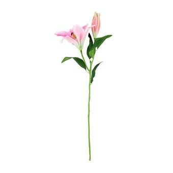 Light Pink Tintagel Lily 74cm x 25cm