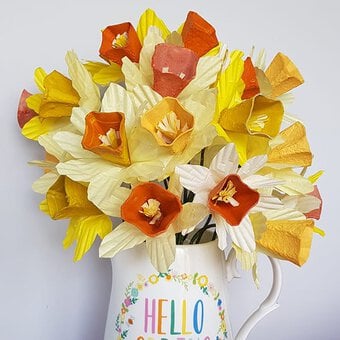How to Make Egg Box and Cupcake Case Daffodils