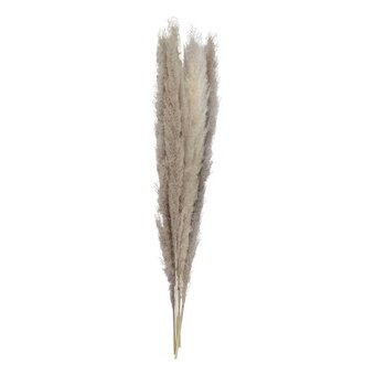 Ginger Ray Natural Pampas Grass Stems 5 Pack