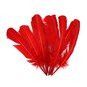 Red American Style Feathers 9 Pack image number 1