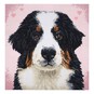 Trimits Woof Large Cross Stitch Kit 36cm x 36cm image number 2