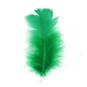Emerald Craft Feathers 5g