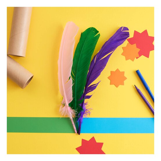Assorted Feathers 7 Pack