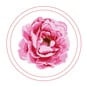 Peony Transparent Embroidery Kit image number 5