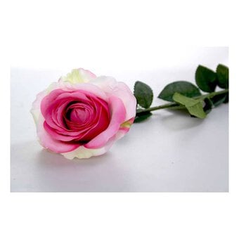 Small Pink Camelot Open Rose 74cm x 10cm