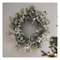 Frosted Wreath 50cm  image number 2