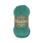 West Yorkshire Spinners Clover Morris DK 50g  image number 1