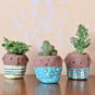How to Make Plant Pinch Pots image number 1