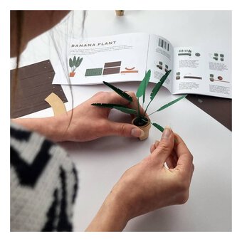 Pikiii Paper Plants Kit
