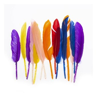 Assorted Quill Feathers 15 Pack