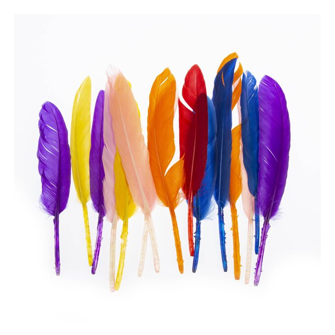 Assorted Quill Feathers 15 Pack image number 1