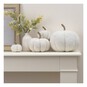 White Borg Pumpkin 4 Pack Bundle image number 2