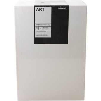 Stretched Canvases A3 10 Pack image number 7