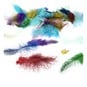 Exotic Feathers 5g image number 1