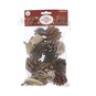 Mixed Christmas Floral Accessories Pack image number 3
