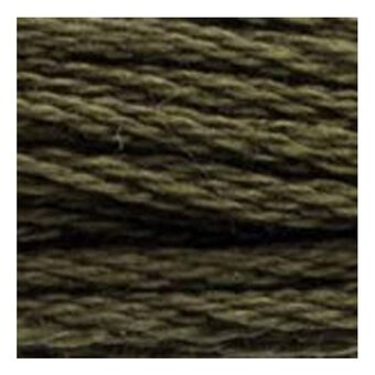 DMC Green Mouline Special 25 Cotton Thread 8m (3021)