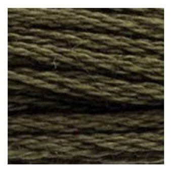 DMC Green Mouline Special 25 Cotton Thread 8m (3021) image number 2