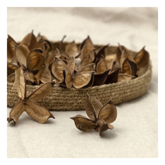 Natural Cotton Pods 40g image number 2