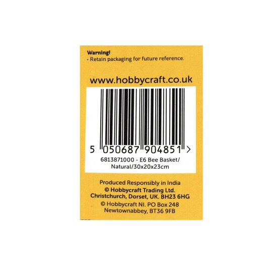 Natural Bee Basket with Lid image number 5