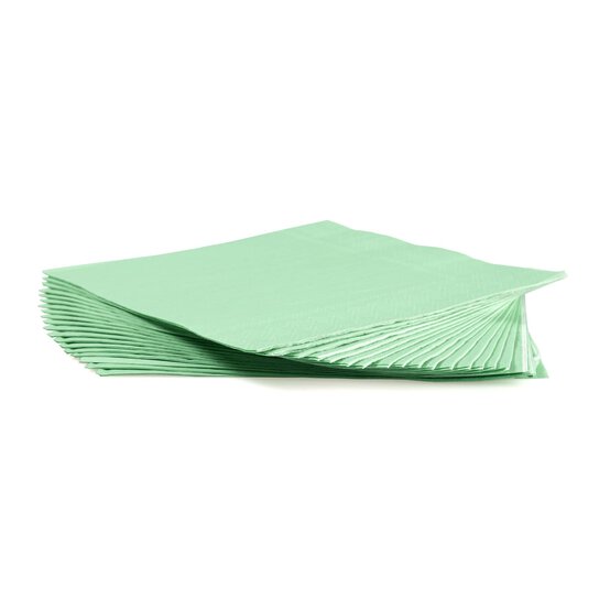 Fresh Mint Napkins 20 Pack  image number 2