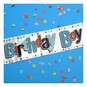 Birthday Boy Banner 2.5m image number 2