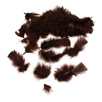 Brown Craft Feathers 5g