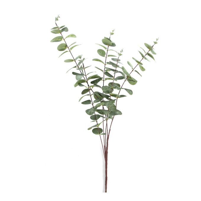Eucalyptus Stem 1m Hobbycraft
