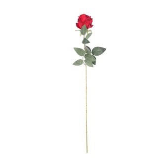 Burgundy Arundel Rose 70cm x 10cm