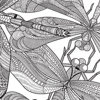 Dragonfly Free Pattern Download