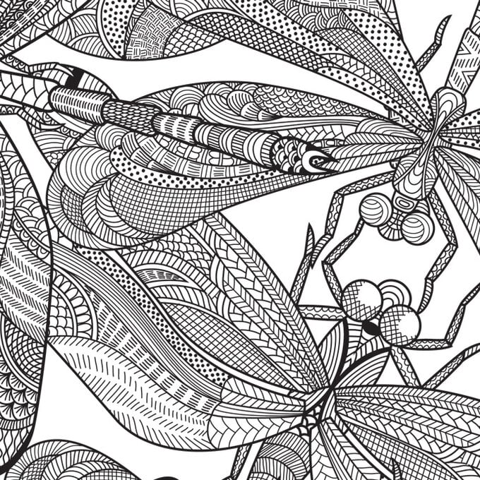 Dragonfly Free Pattern Download image number 1