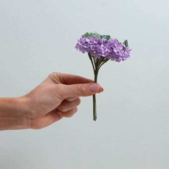 Lilac Verbena 12.5cm