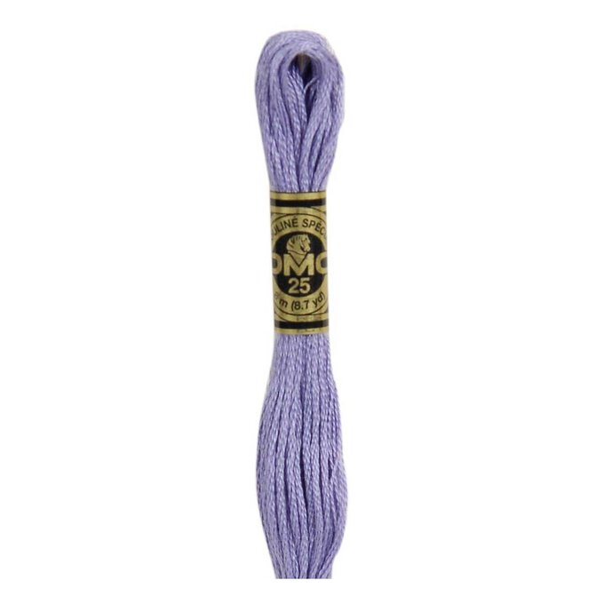 DMC Purple Mouline Special 25 Cotton Thread 8m (030) image number 1