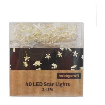 LED Star Lights 2.45m