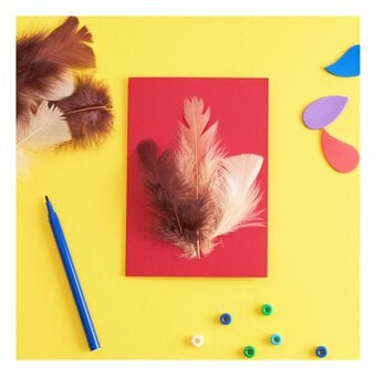 Natural Craft Feathers 5g image number 2