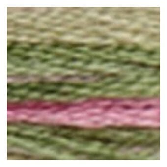 DMC Pink and Green Coloris Mouline Cotton Thread 8m (4500) image number 2