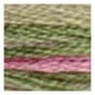 DMC Pink and Green Coloris Mouline Cotton Thread 8m (4500) image number 2