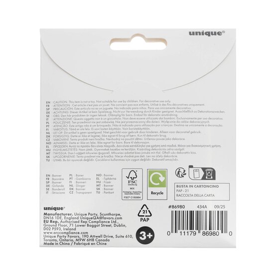 Blue Birthday Boy Banner 1.8m image number 4