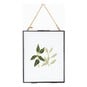 FREE PATTERN DMC Rubber Plants Embroidery 0004 image number 2