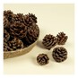 Pinecones 200g image number 2