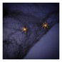 Black Spiderweb with Orange Spiders  image number 1