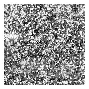 Pebeo Setacolor Glitter Silver Leather Paint 45ml image number 2