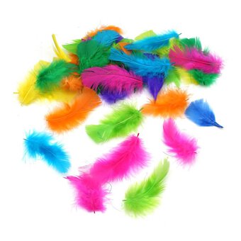 Bright Mix Craft Feathers 5g