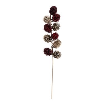Dried Pinecone Stem 30cm 
