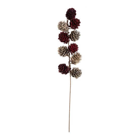 Dried Pinecone Stem 30cm  image number 1