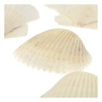 Seashell Painting Kit 13 Pack image number 5